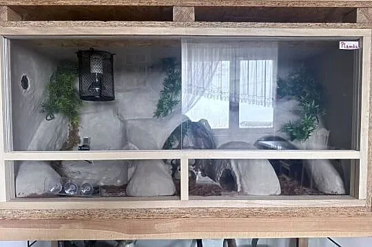 Sprzedam terarium oraz gekona lamparckoego