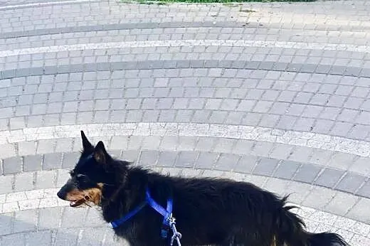 Krecia kocha jeść przysmaczki, chce dołączyć do Tw