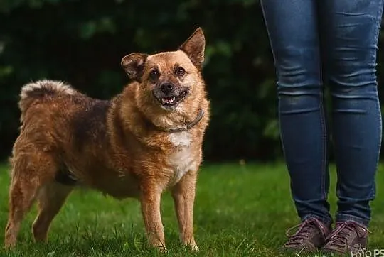 Pokochaj Polę a odwdzięczy się stokrotnie