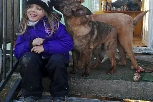 Anter i Agis, łagodni, roczni bracia szukają domów