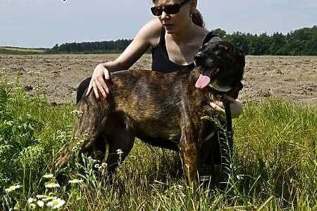 Wspaniała Arizonka, wesoła i przyjazna, chora na m