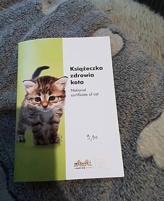Książeczka zdrowia kota., Śląskie, Katowice