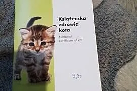 Książeczka zdrowia kota.