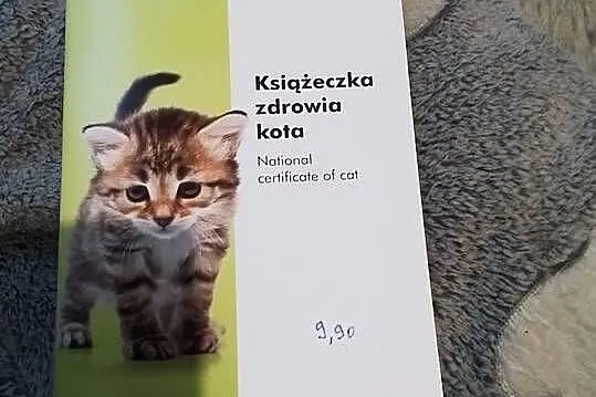 Książeczka zdrowia kota., Śląskie, Katowice