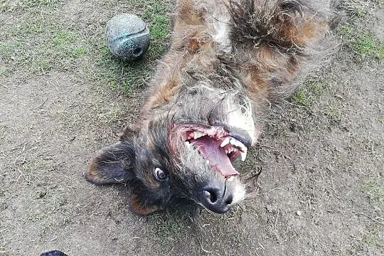 A Londi wciąż czeka na swego człowieka, , Wrocław