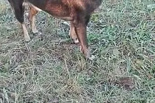 Maniek chce aby w końcu ktoś go pokochał, , Wrocław