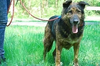 Chlapek - bo niby jak inaczej ?,  mazowieckie Warszawa