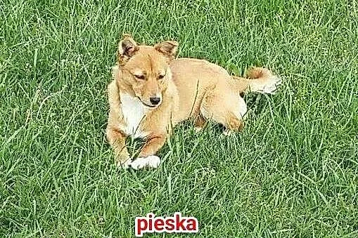 MAJKA I KAJKA, malutkie, nakolankowe siostrzyczki 