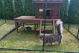Woliera dla kotów