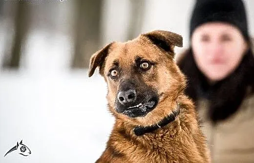Dziurawiec jest taki świetny a jeszcze nie ma domu