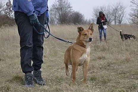 Gabi - coraz śmielej patrzy w przyszłość. Prosimy 