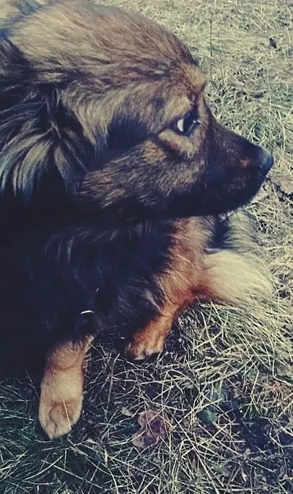 Lusia