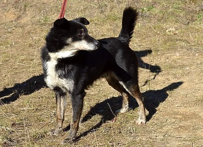 Bardzo grzeczny, mały Tosio :)