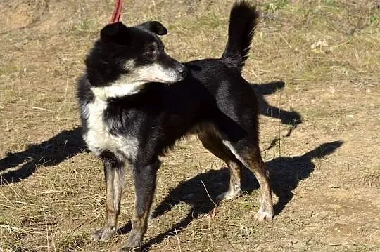 Bardzo grzeczny, mały Tosio :)