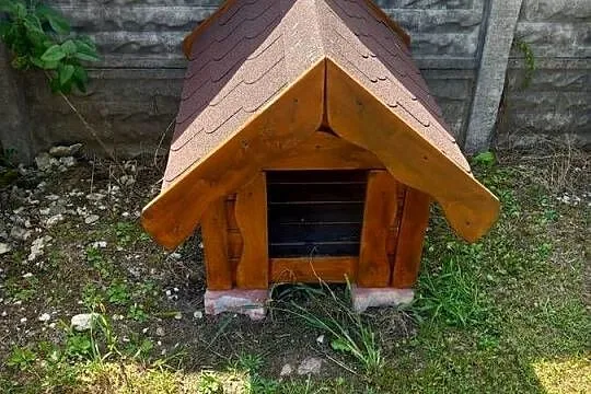 Buda dla psa nowa, Świętokrzyskie, Łagów