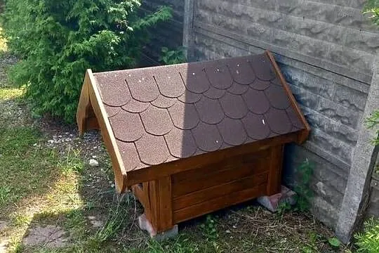 Buda dla psa nowa, Świętokrzyskie, Łagów