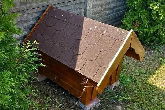 Buda dla psa nowa, Świętokrzyskie, Łagów
