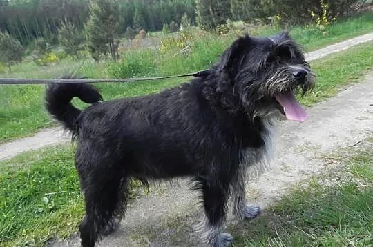 Toto