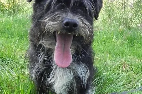 Toto