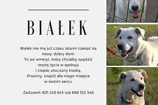 Nadzieja umiera ostatnia...,  małopolskie Kraków