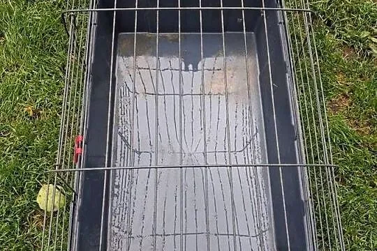 Klatka dla świnki morskiej, Śląskie, Dąbrowa Górnicza