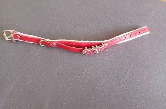 obroża dla psa, kota czerwona 25 cm