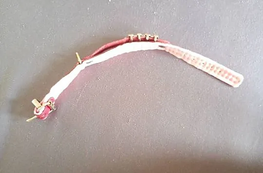 obroża dla psa, kota czerwona 25 cm, Zachodniopomorskie, Szczecin