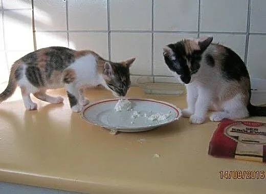 Masza i Sonia, łódzkie Łódź