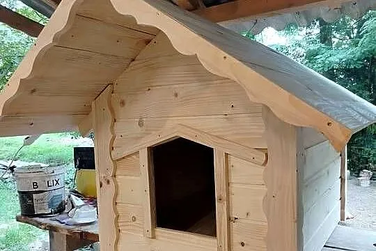 Buda dla psa owczarka niemieckiego, Podkarpackie, Bircza