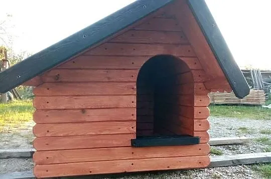 Buda / Buda dla psa ocieplona / Różne wymiary, Śląskie, Konopiska