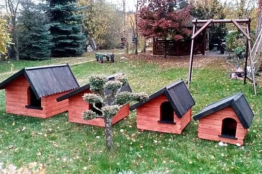 Buda / Buda dla psa ocieplona / Różne wymiary, Śląskie, Konopiska