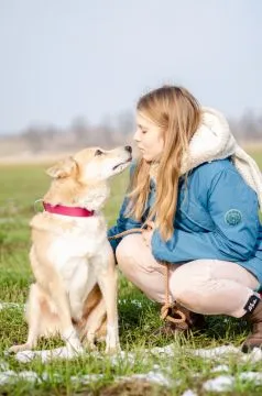 Elza - pies anioł, kochana, łagodna sunia  Wyrzucona niczym śmieć... Poznajcie Elzę, którą cechują s, , Warszawa