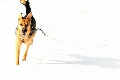 Hermiona - utul ją w Swoich ramionach :),  mazowie