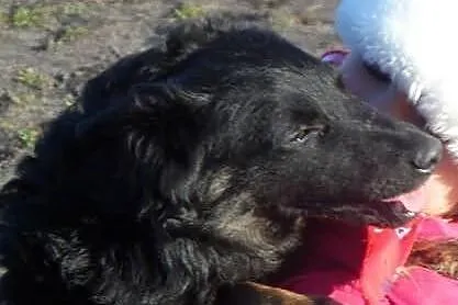 Balbinka śliczna młoda sunia Adopcja ŁTOnZ