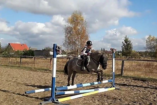 Sprzedam kuca, Łódzkie, Tomaszów Mazowiecki