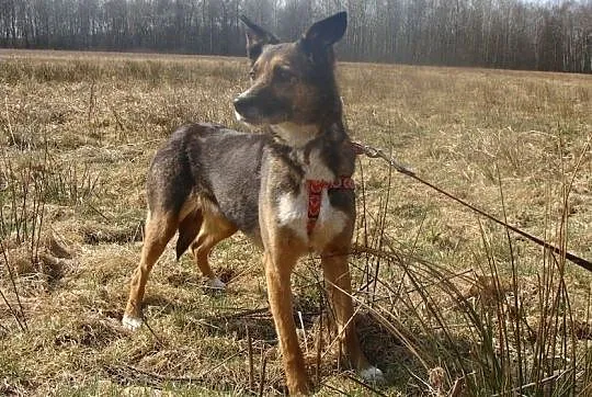 Piękna KALI boi się świata - przekonasz ją, że moż
