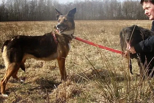 Piękna KALI boi się świata - przekonasz ją, że moż