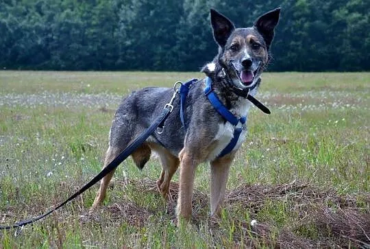 Piękna KALI boi się świata - przekonasz ją, że moż