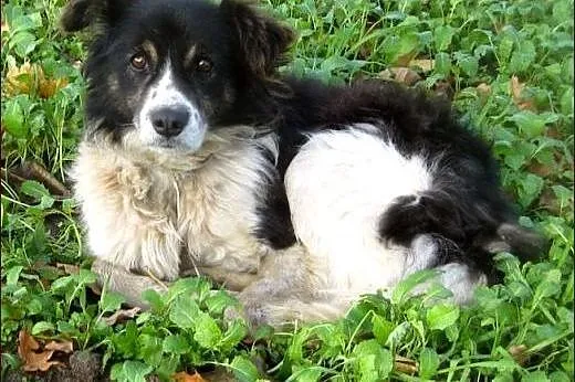 Radek - spokojny i niezależny :),  warmińsko-mazur