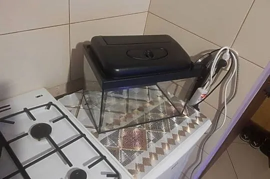 Sprzedam akwarium 25 litrów z pokrywą folia z tyłu naklejona., Dolnośląskie, Lubin
