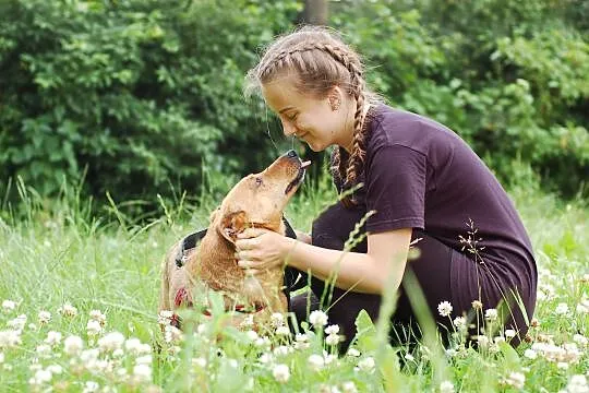Grzeczny Rudy, wesoły malec do adopcji!