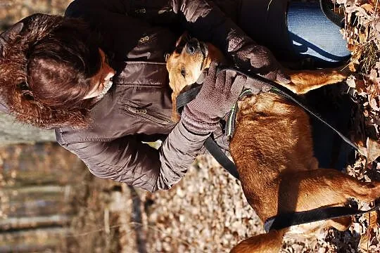 Grzeczny Rudy, wesoły malec do adopcji!