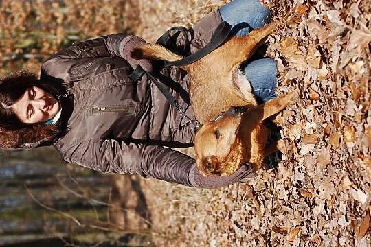 Grzeczny Rudy, wesoły malec do adopcji!