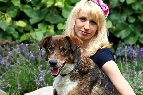Kumpel duży łagodny psiak szuka domku!,  Kundelki 