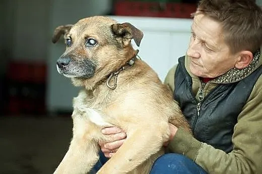 Cudowny, przyjazny, niewidomy Horacy...,  wielkopo