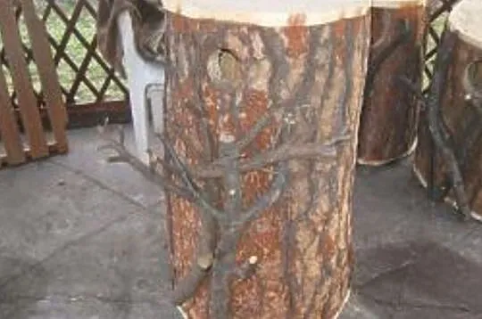Budki lęgowe dla papug oraz kaczek ozdobnych mandarynki , karolinki, Śląskie, Wodzisław Śląski