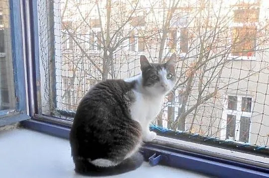 Czesław