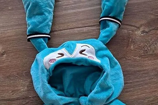nowa czapeczka anime dla zwierzaka lub lalki, Świętokrzyskie, Sandomierz