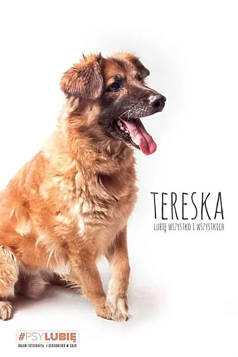 Tereska - kocha wszystko i wszystkich, niech ją te