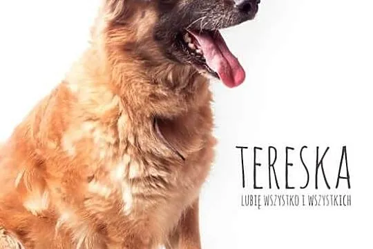 Tereska - kocha wszystko i wszystkich, niech ją te